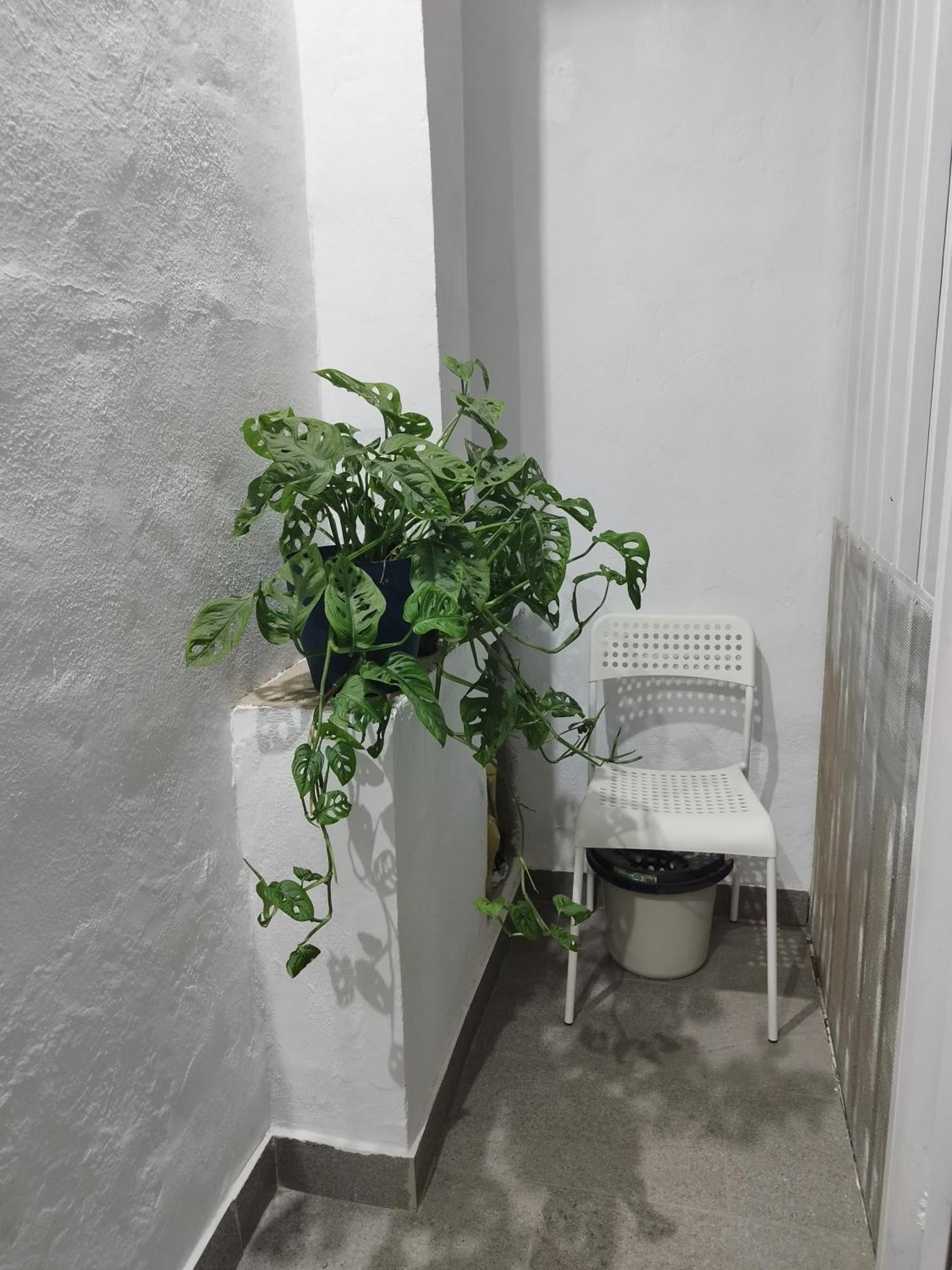 Apartmán Casa De Maria Luisa Arona  Exteriér fotografie