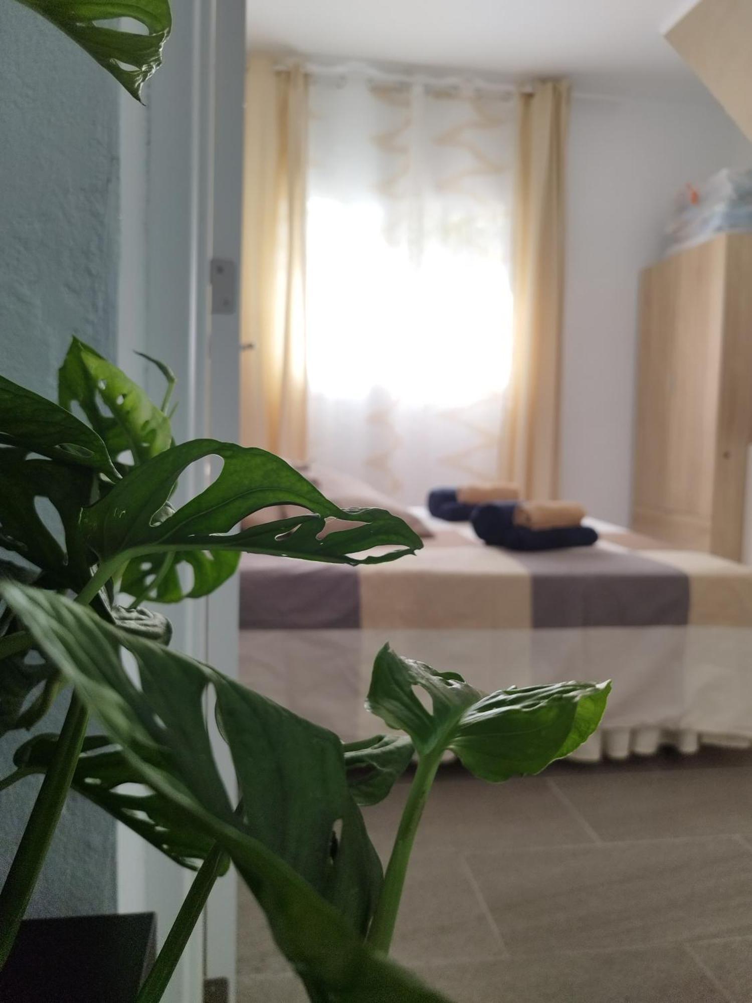 Apartmán Casa De Maria Luisa Arona  Exteriér fotografie